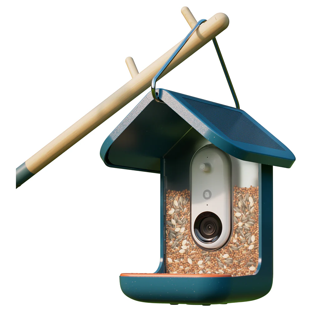 Birdbuddy Smart Bird Feeder - Blue | BBG1003BAD - Image 11