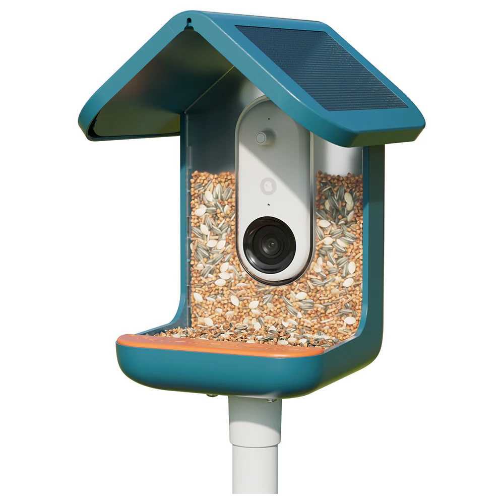 Birdbuddy Smart Bird Feeder - Blue | BBG1003BAD - Image 12