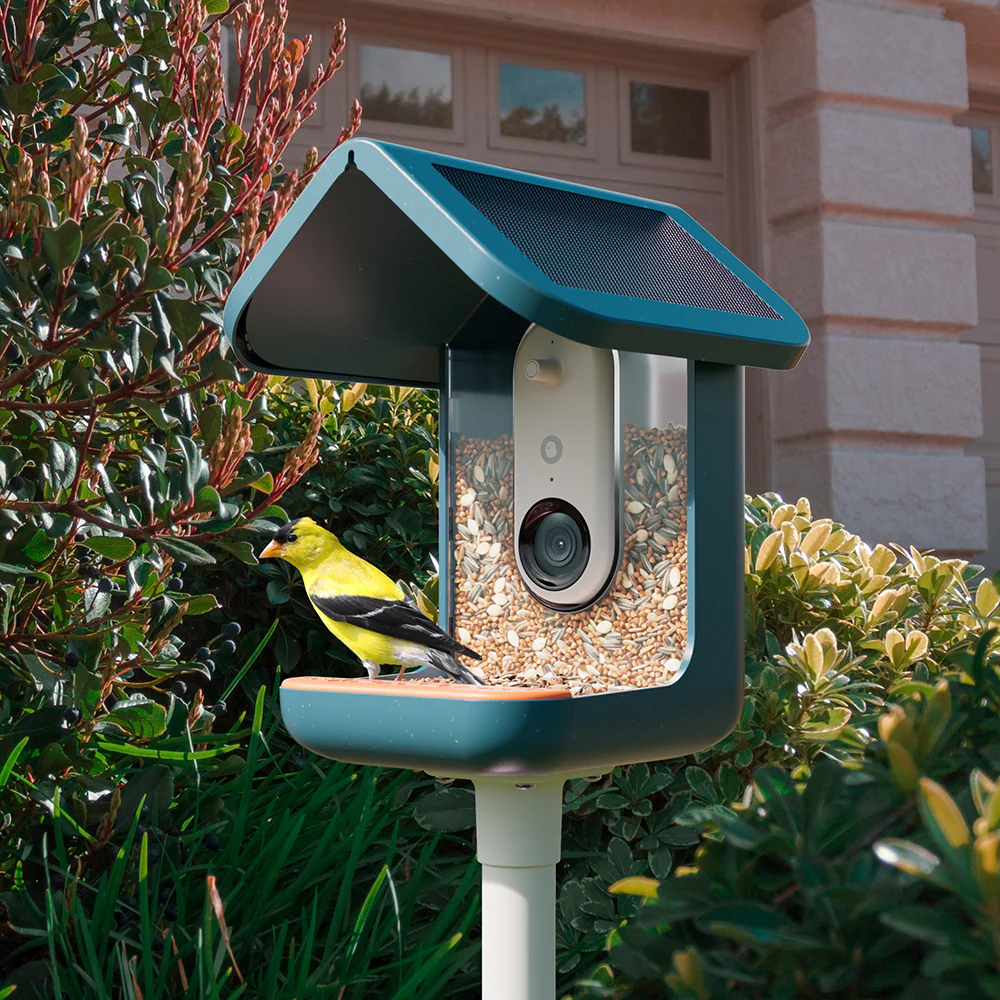 Birdbuddy Smart Bird Feeder - Blue | BBG1003BAD - Image 15