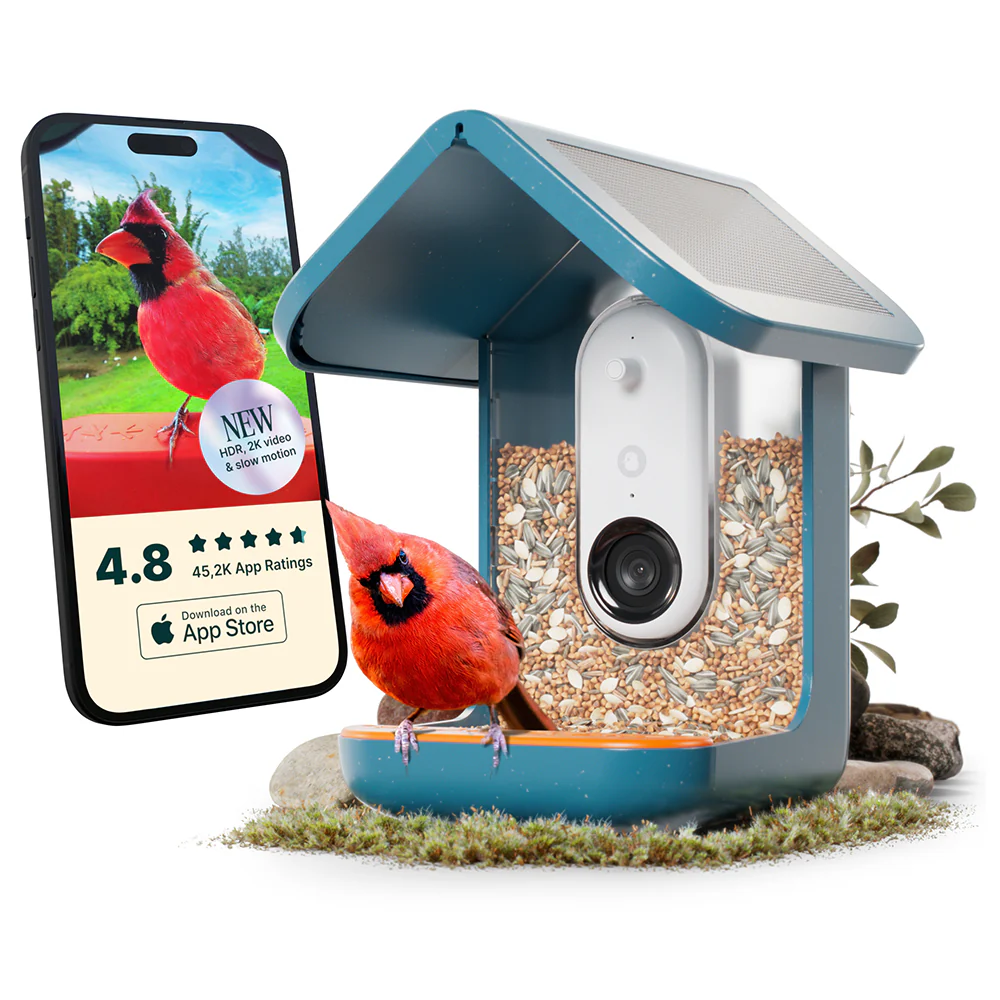 Birdbuddy Smart Bird Feeder - Blue | BBG1003BAD - Image 22