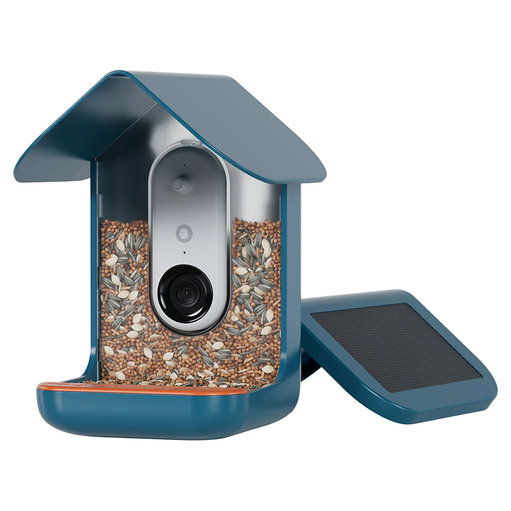 Birdbuddy Smart Bird Feeder - Blue | BBG1003BAD - Image 9
