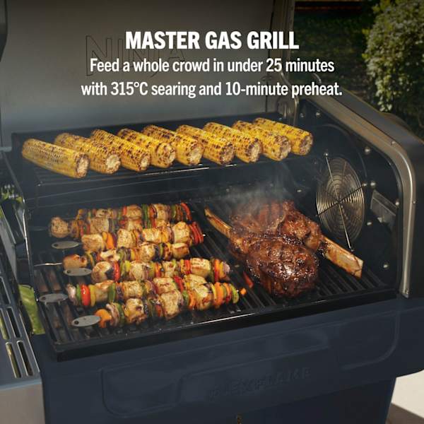 Ninja FlexFlame Gas 5-in-1 Outdoor BBQ - Blue & Gold | PG301UKBL - Image 3