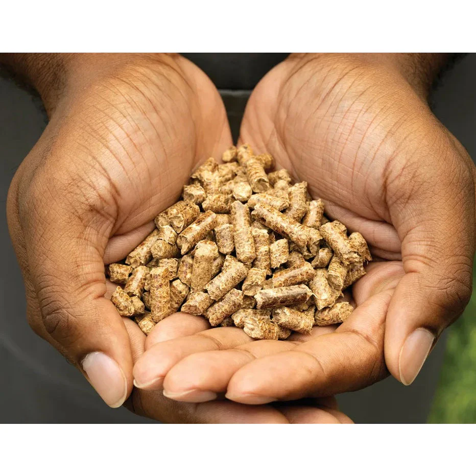 Ninja Woodfire Pellets All-Purpose Blend (900g) | XSKOGAPBPL2UK - Image 4