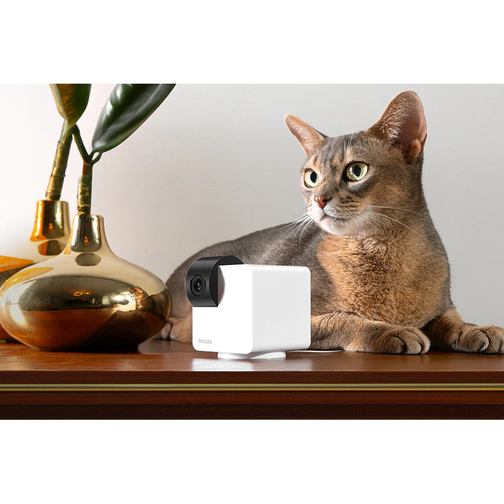 Petcube 360 Camera for Pet - White | 854592007523 - Image 11