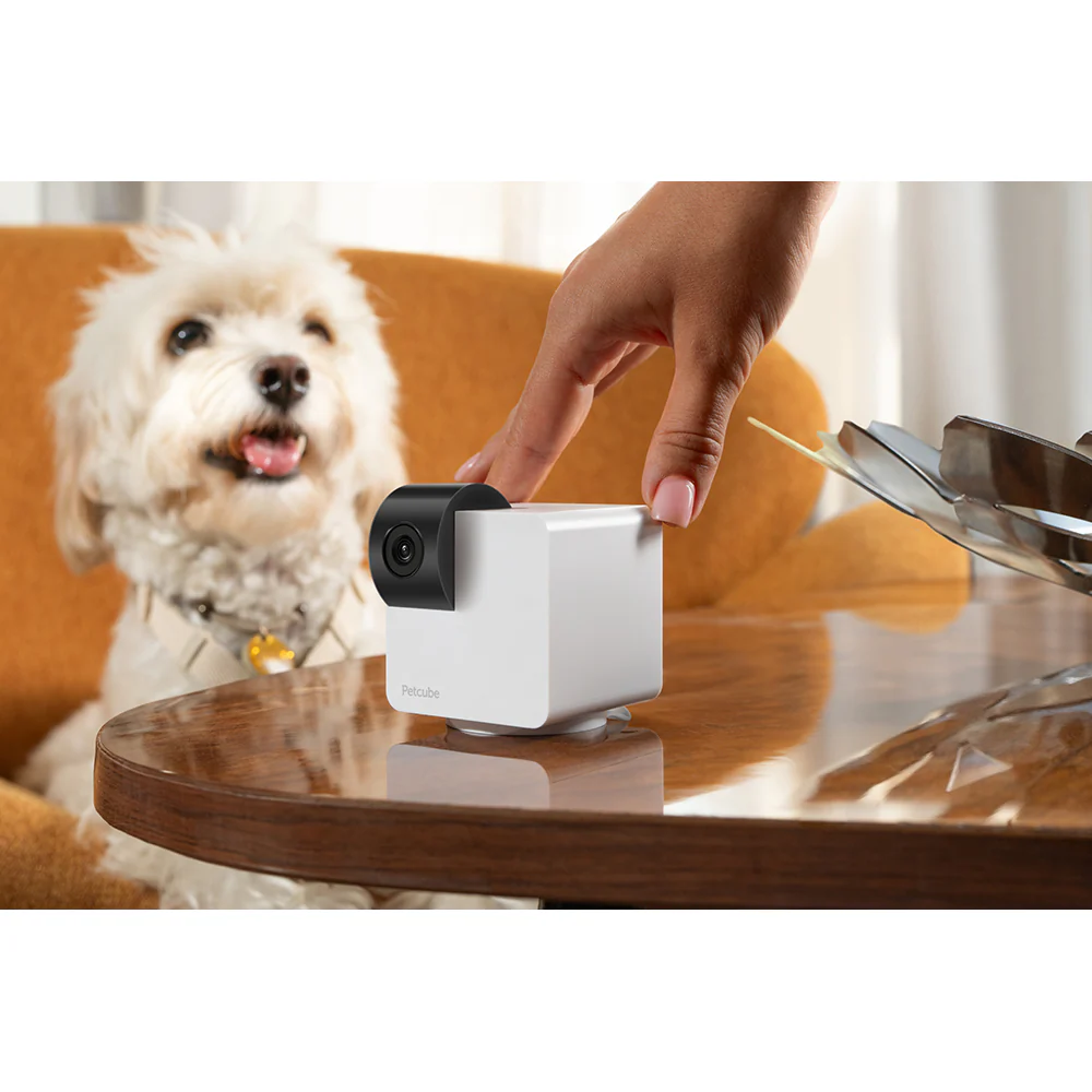 Petcube 360 Camera for Pet - White | 854592007523 - Image 12