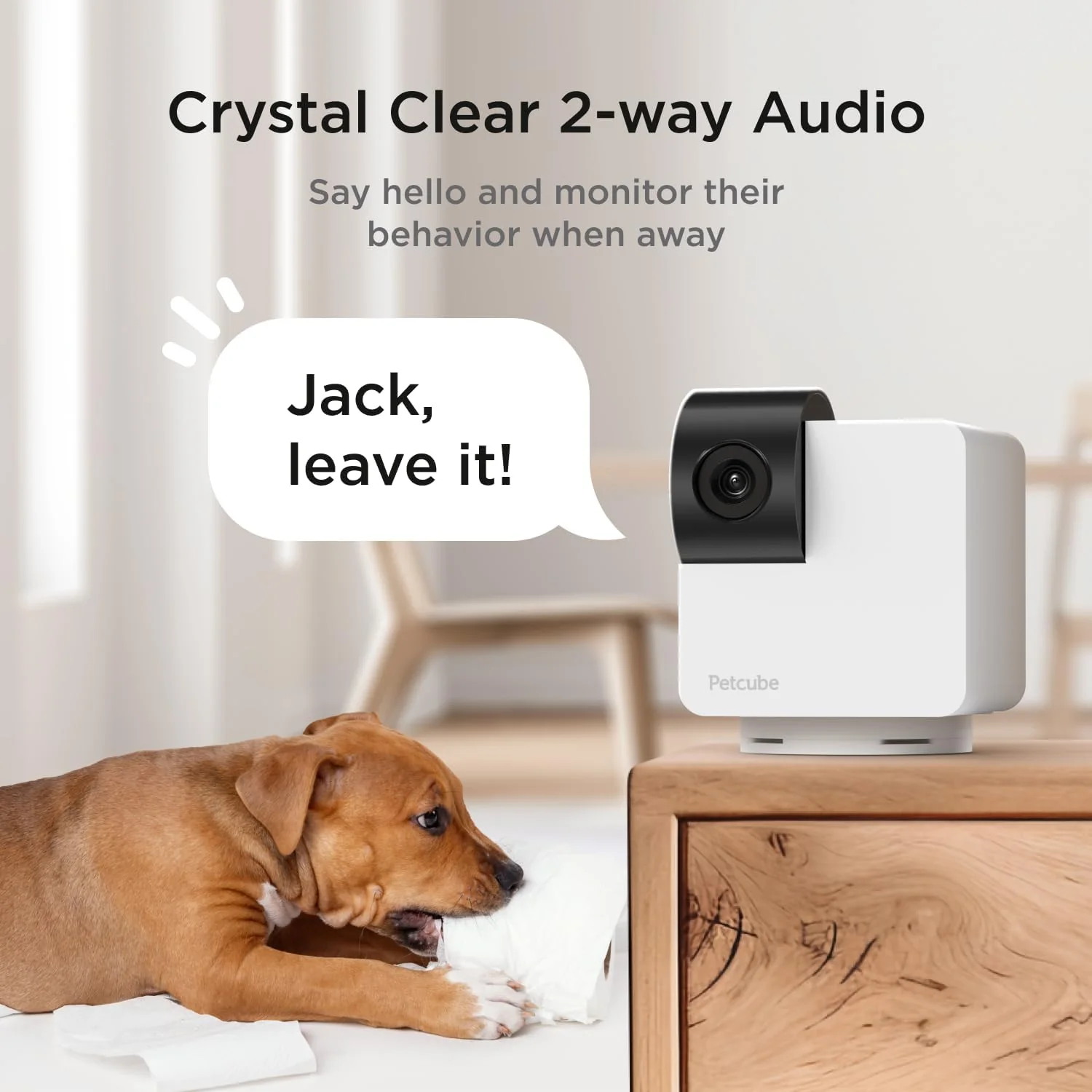 Petcube 360 Camera for Pet - White | 854592007523 - Image 5