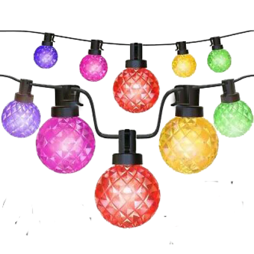 Secret Garden Collection Zia 15M LED Garden String Lights - Black | GL15COL
