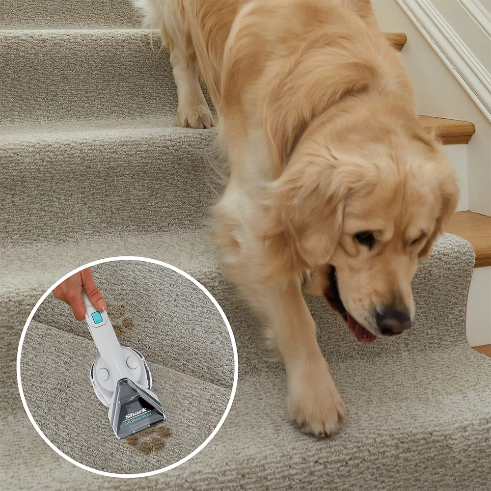 Shark CarpetXpert Built-In StainStriker Vacuum Cleaner - Rotator White | EX200uk - Image 7